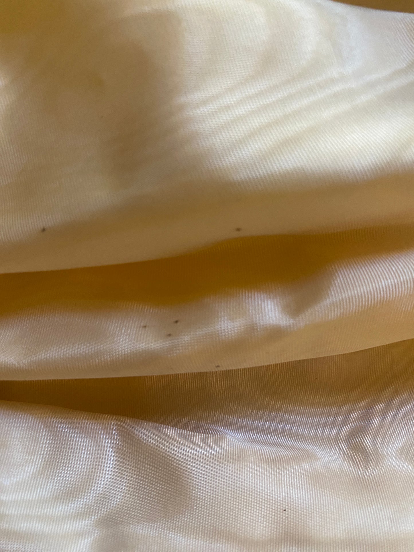Dolce & Gabbana Champagne Silk Moire Skirt