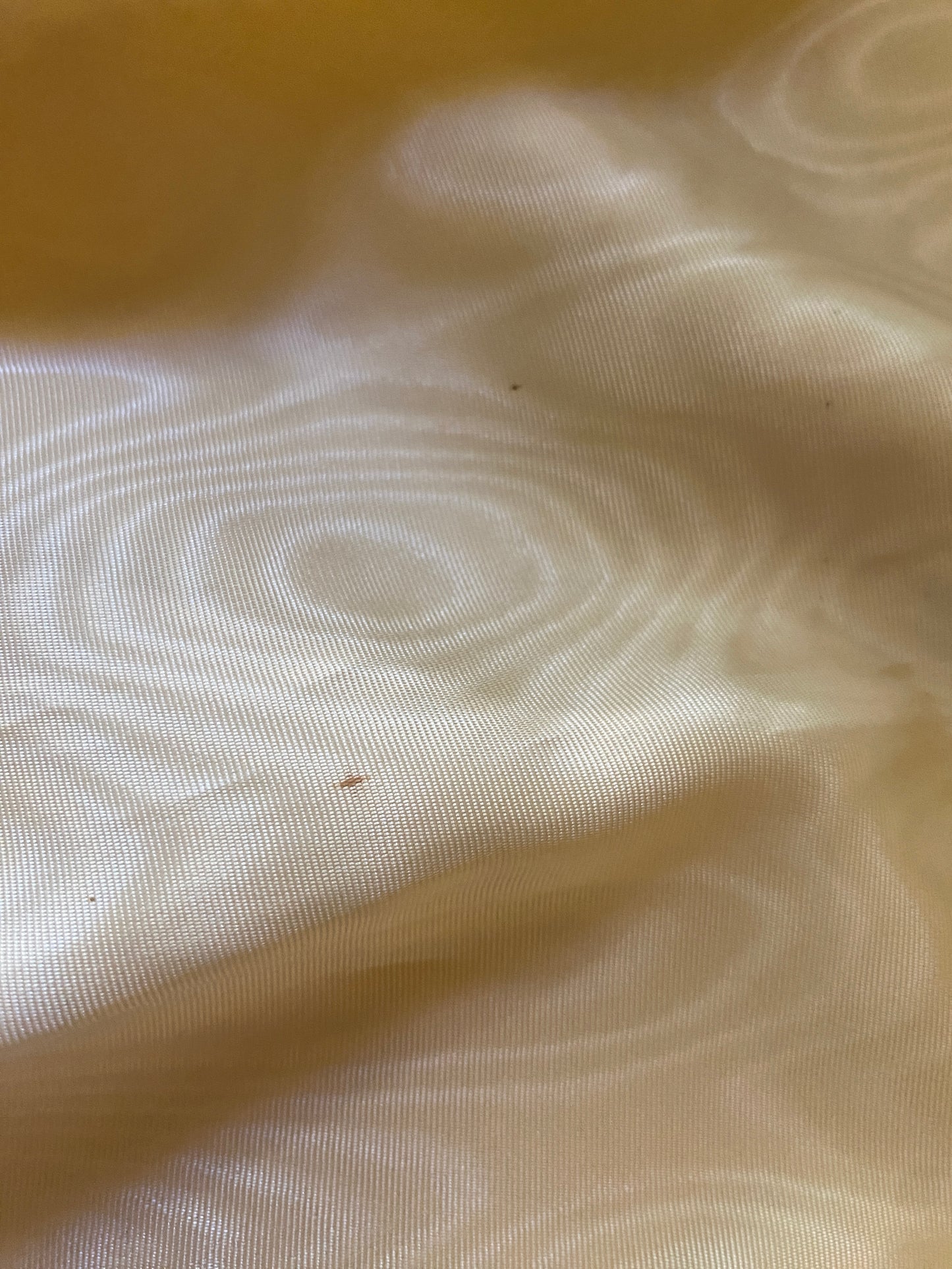 Dolce & Gabbana Champagne Silk Moire Skirt